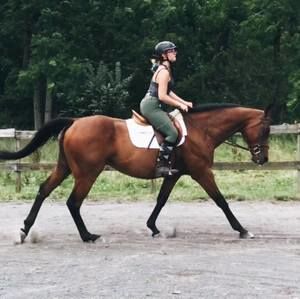 Meet your Posher, Olivia